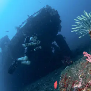 Decompression Specialty