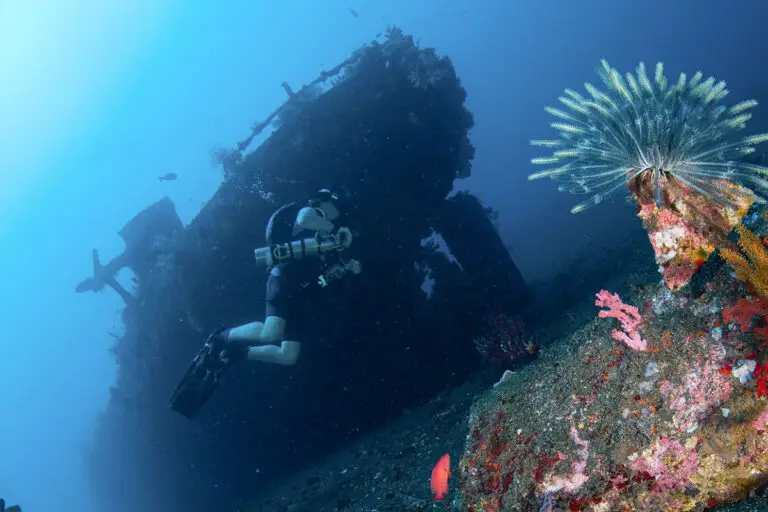 Taucher erkundet das USAT Liberty Schiffswrack mit farbenfrohem Korallenwuchs und Federstern in Tulamben, Bali